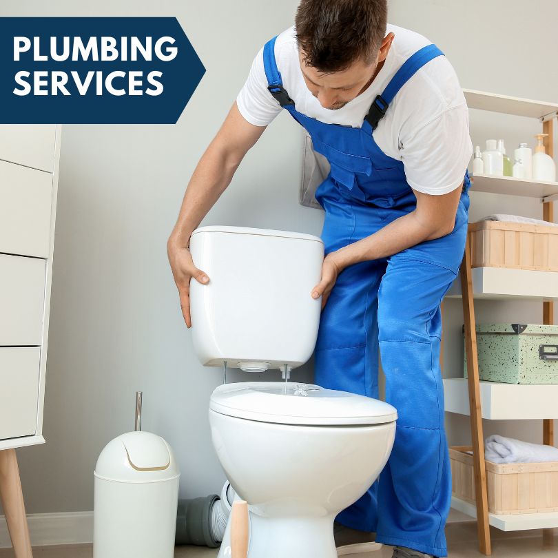 Plumbing Company in Morley, IA